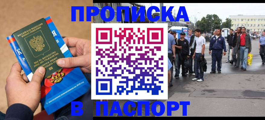 прописка законно в Сальске